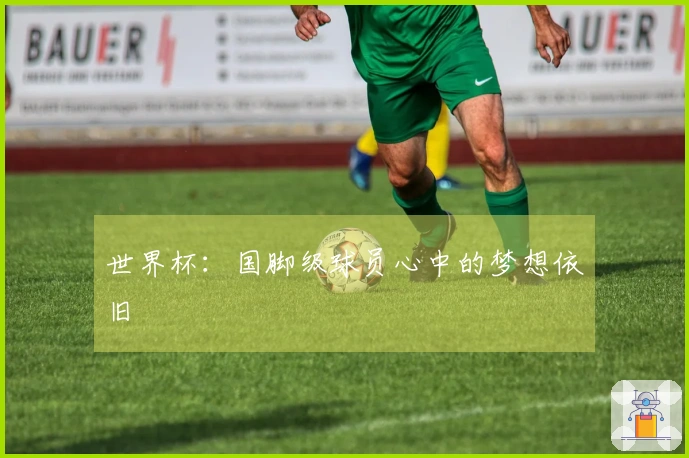 世界杯：国脚级球员心中的梦想依旧