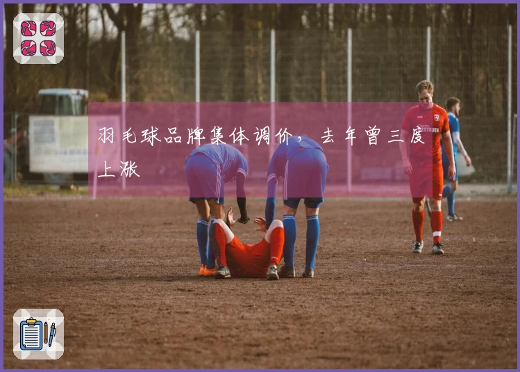 羽毛球品牌集体调价，去年曾三度上涨