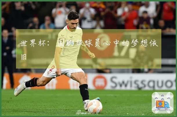 世界杯：国脚级球员心中的梦想依旧