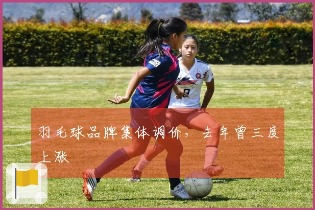 羽毛球品牌集体调价，去年曾三度上涨